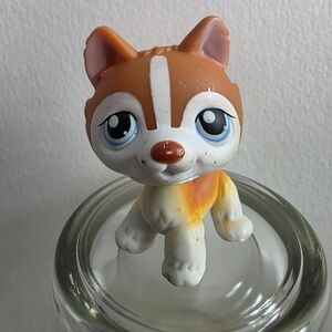 ✨️Littlest Pet Shop LPS 341 Brown White Husky Dog Blue Eyes